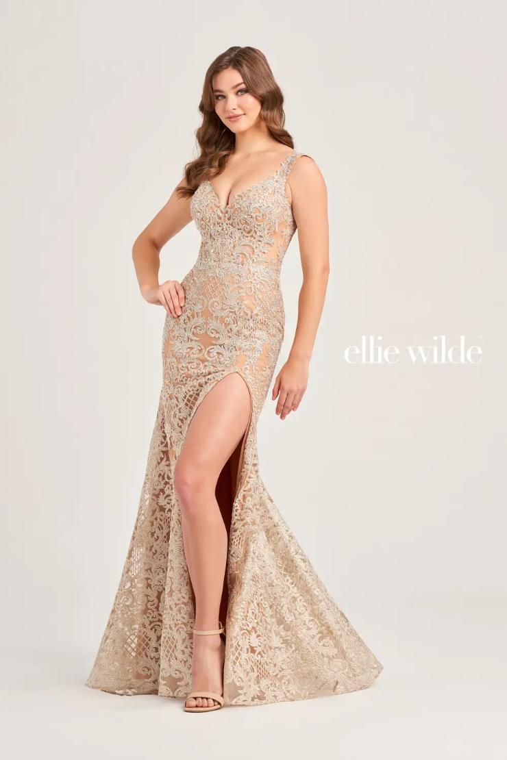 EW35091 EMBROIDERED LACE FIT AND FLARE WITH BACK SILVER CHAIN FEATURE #$0 default Silver/Nude picture